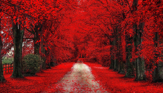 880408 (a): :1920x1100